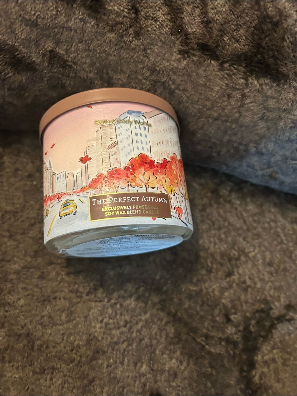 Bath & Body Works The Perfect Autumn Candle